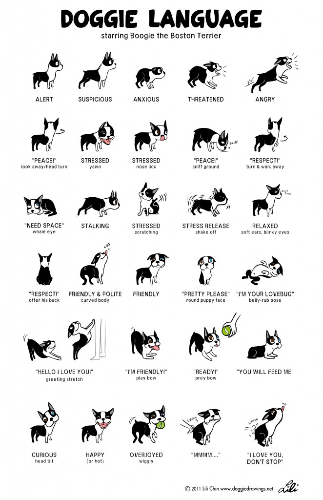 Chart of Dog Body Language