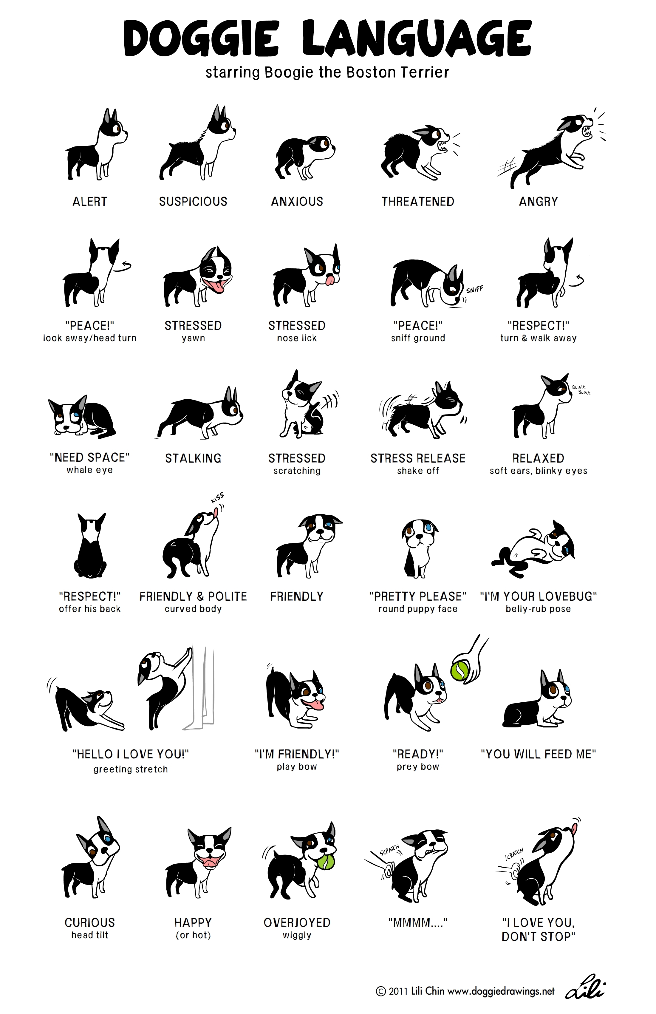 Dog Body Language Chart