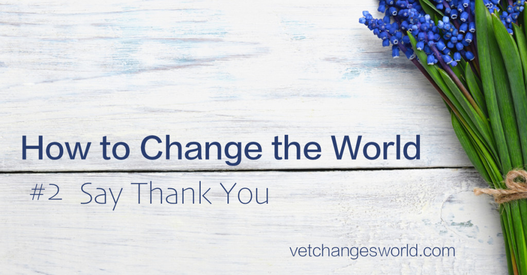 Change the World - Say Thank You