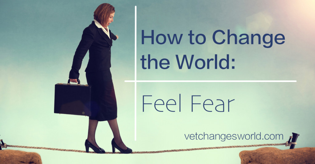 Feel Fear - How to Change the World