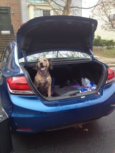 Quinny Wants to Go On a Trip
